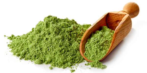The Everyday Benefits of Incorporating a Greens Powder in Your Diet